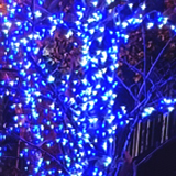 イルミネーションの写真